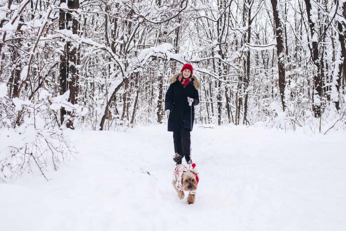 préparer votre chien ou votre chat pour l'hiver